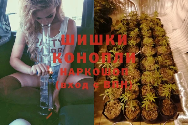 индика Бугульма